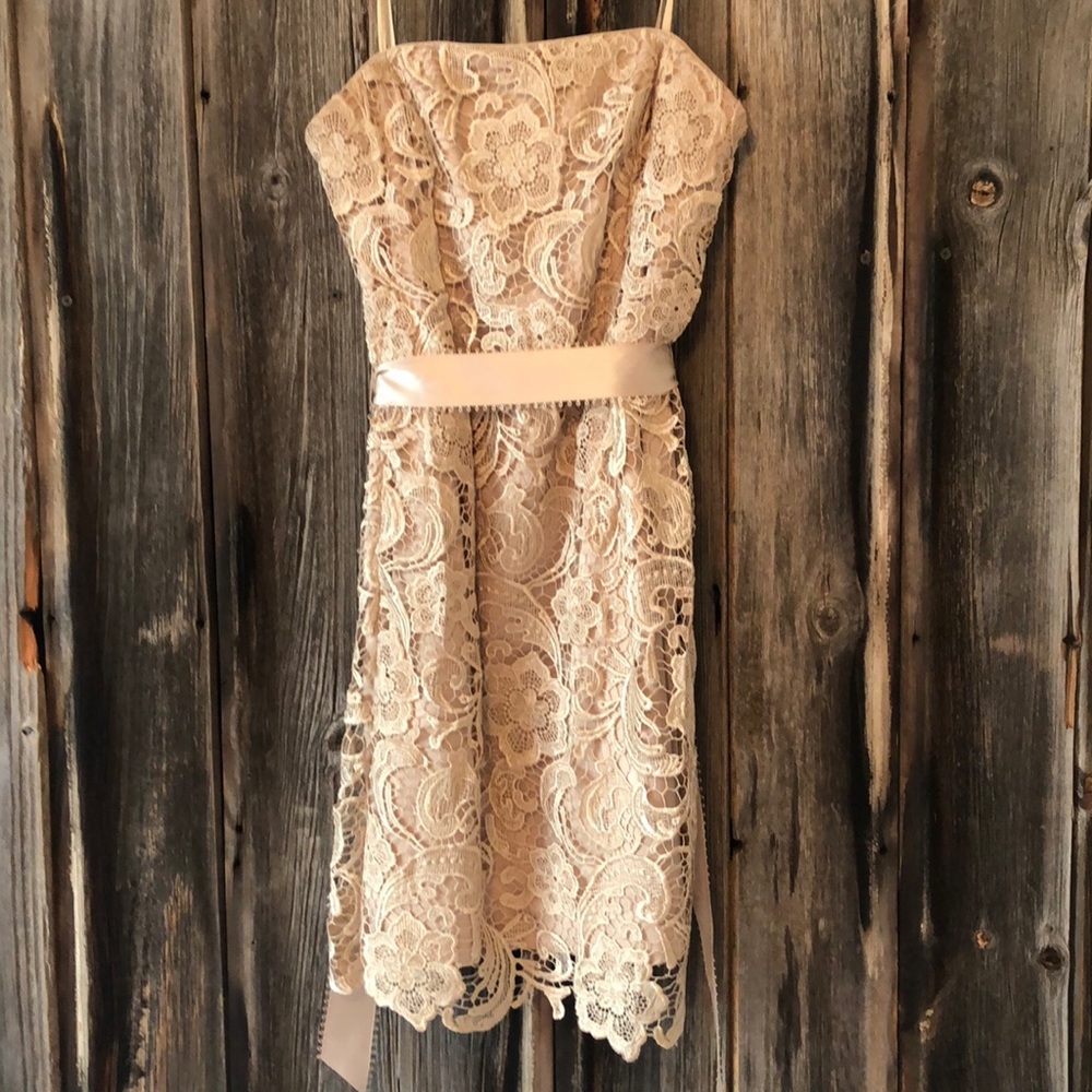 Cache cocktail dress